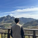오렌지 꽃향기는 바람에 날리고 | 경북 봉화&gt; 카페 ’오렌지꽃향기는바람에날리고‘ 내돈내산, 후기 !