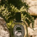 향수농장 | 딥디크 필로시코스 후기, 한 번 빠지면 통장 텅 비는 마성의 무화과 향수, 아직도 모르세요?