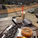 봄봄봄 | 반려견동반카페 백운호수 커피맛집 에키네시아에서 봄봄봄 🌸 힐링 후기