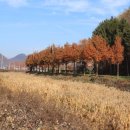 고원(주) 이미지