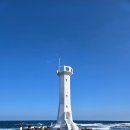 태양카서비스 | 제주도 우도 렌터카 가지고 가는 법 요금, 맛집 지은이네 밥상, 성산갈치맛집