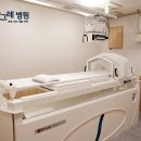 강화식물병원 네이버블로그