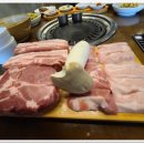 서해쭈꾸미 이미지