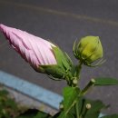 사회적협동조합한강 이미지