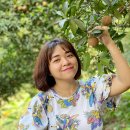 사포농장 이미지