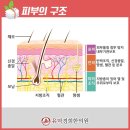 유덕경희한의원