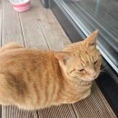 동광환승정류장 이미지