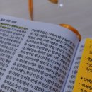 정병호치과교정과치과의원 네이버블로그