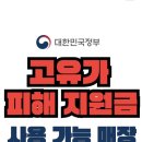 이안메디