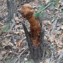 소라 발전소 이미지