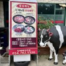 금문 | 경북 울진 맛집 금문 본점 내돈내산 후기