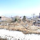 직산중앙교회 네이버블로그
