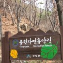 용현2세천 | 서산가볼만한곳 용현자연휴양림 숙박 후기