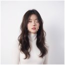 정관장다정