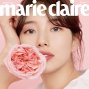 수지 이미지