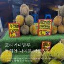여월프라자 앞 육교 밑 | 코타키나발루 두리안 나이트 마켓 종류별 맛 가격 추천