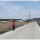 봉화산 솔바람길 이미지