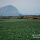 광신여관 이미지