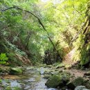 생곡리 미약골 이미지