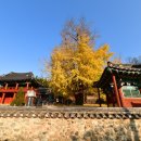 이집 묘소 | 청도 자계서원(2025. 11. 18.)