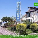 아쿠아피아하우스 네이버블로그