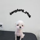 송내동3 이미지