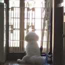 타카독스 커피 이미지