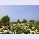 곡성-078 이미지