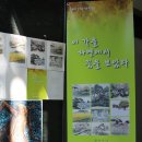 영아트 이미지