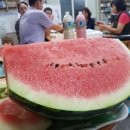 한라산 제2농장 이미지