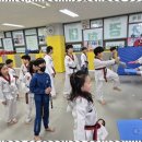 멘토태권도교육관 이미지