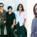 부활 레전드 콘서트 이미지