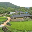 전남 장성 축령산 편백나무 숲길과 금곡 영화마을 여행 이미지