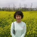 꽃밭교회 이미지