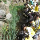 증포초병설 이미지