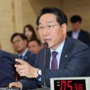 유정복 카카오 검색결과