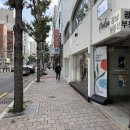 삐에드라 이미지