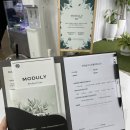 모둘리