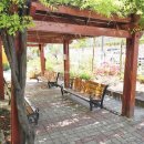 복수계룡 이미지