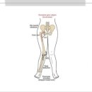 웰러스짐 이미지