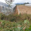 월곡농장 이미지