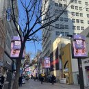 (주)선명 | 명동역피부과 이중턱 윤곽주사 지방파괴주사 바이블주 벌써 두번째 후기(통증, 붓기, 효과)