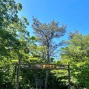 서귀포자연휴양림2 | 서귀포 자연휴양림 숙박 후기 가볼 만한 곳 둘러보기