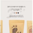 사수제 이미지