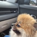 하늘 그리고 바다 이미지