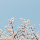 다다 호스텔 이미지