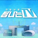 다시스물
