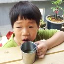 하우스유 Daum카페