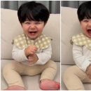하루 마이데일리