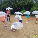 자연아이어린이집 이미지